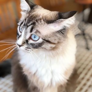 Meet your Posher, Rhea